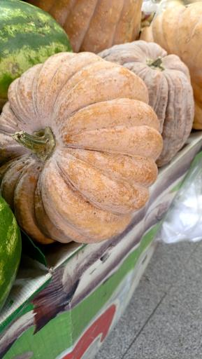عکس میوه سرای محله