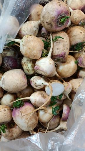 عکس میوه سرای محله