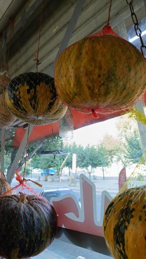 عکس میوه سرای محله