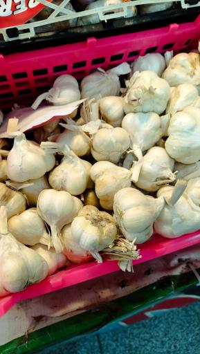 عکس میوه سرای محله