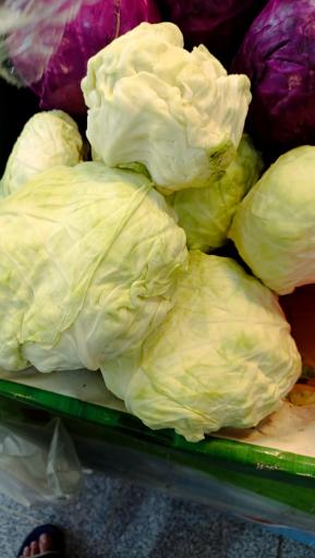 عکس میوه سرای محله