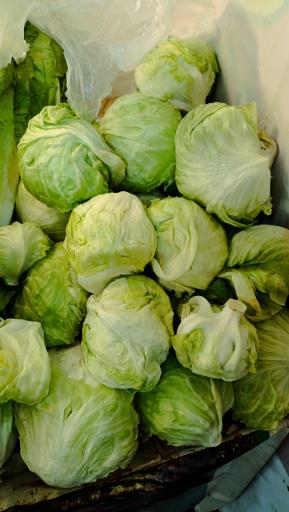 عکس میوه سرای محله