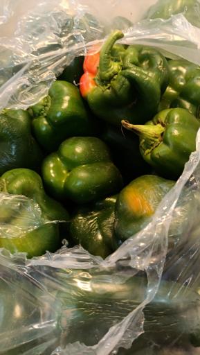 عکس میوه سرای محله