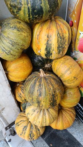 عکس میوه سرای محله