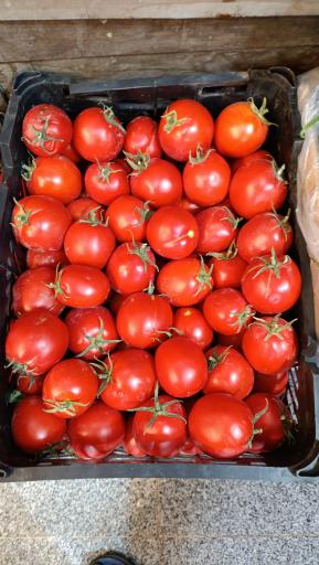 عکس میوه سرای محله