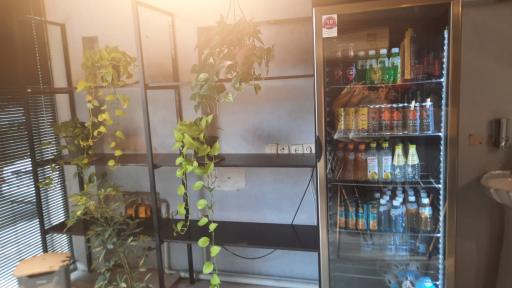 عکس کافه ویتا