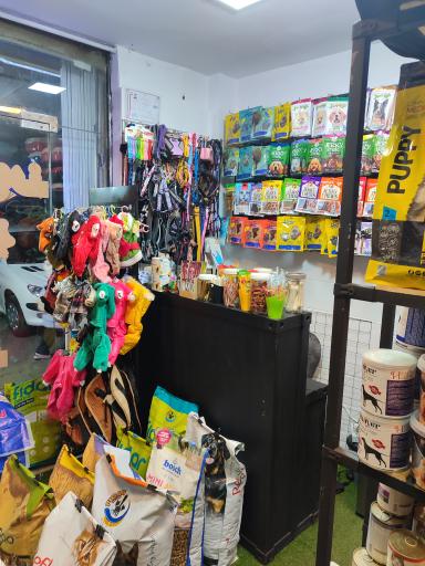 عکس فروشگاه لوازم حیوانات خانگی