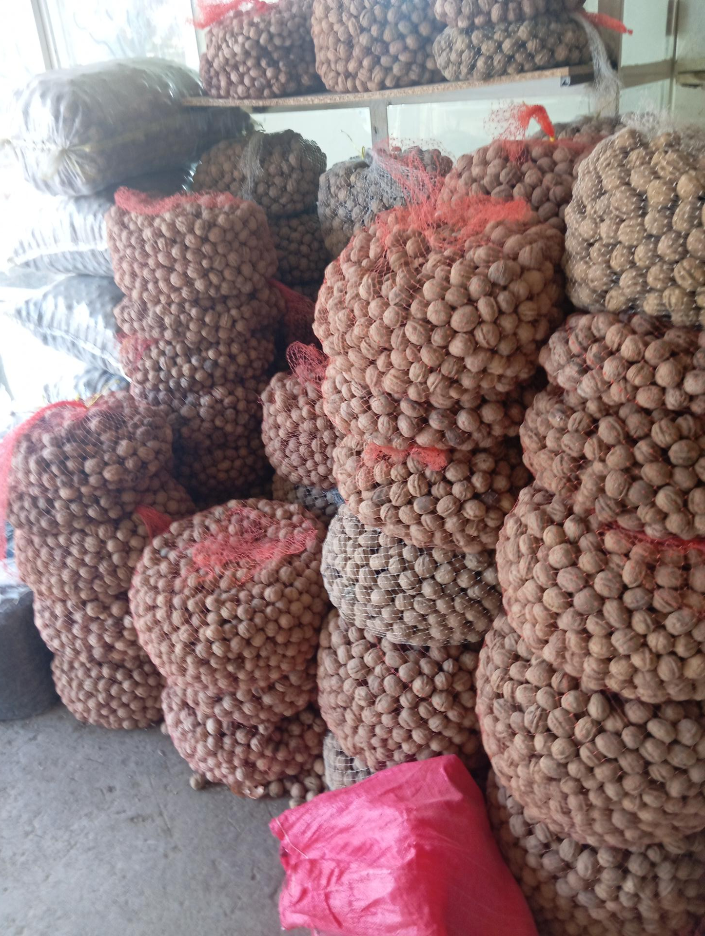 عکس خشکبار میرزایی