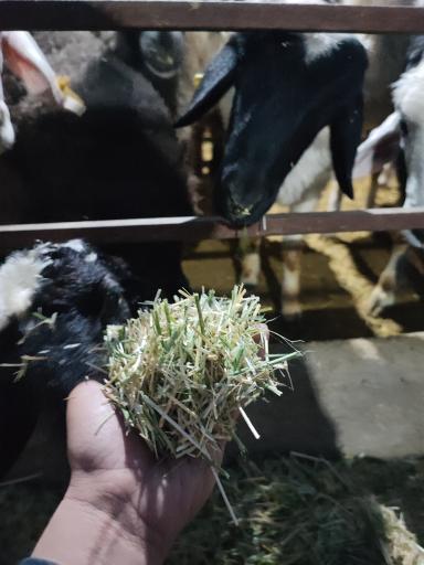 عکس پرواربندی زمانی 