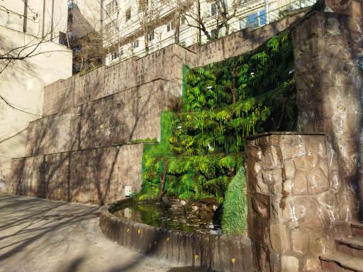 عکس بوستان باغ انجیری