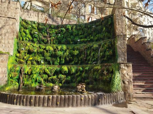 عکس بوستان باغ انجیری