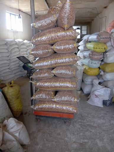 عکس خشکبار میرزایی