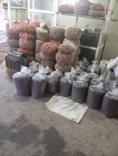 عکس خشکبار میرزایی