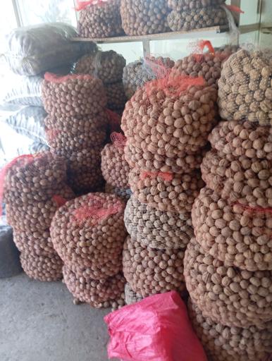 عکس خشکبار میرزایی