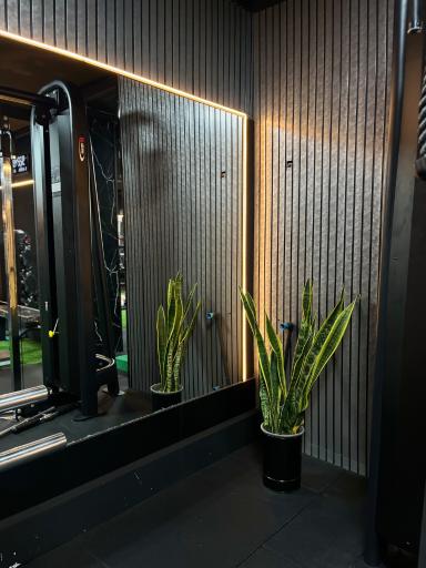 باشگاه آلندا