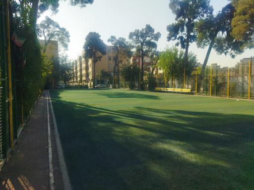 عکس زمین چمن باغ بزرگ