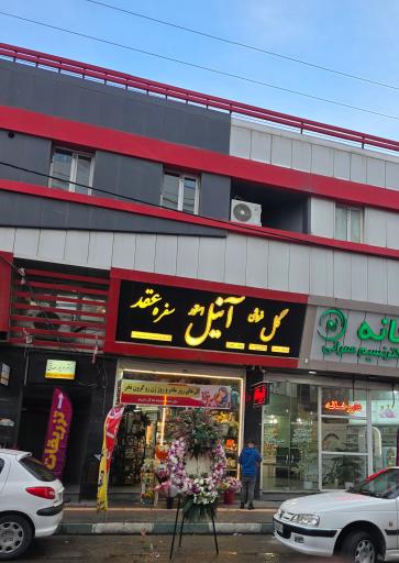 عکس گل فروشی آنیل