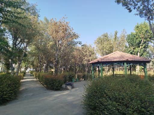 عکس دانشگاه آزاد اسلامی یادگار امام (واحد شهر ری)