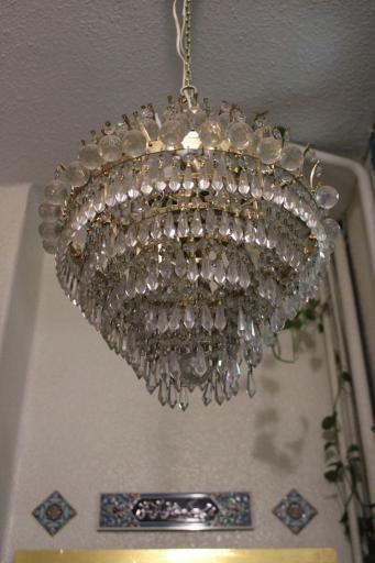 عکس نگارخانه گل های داوودی