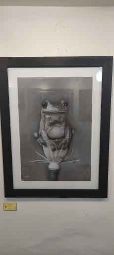 عکس نگارخانه گل های داوودی