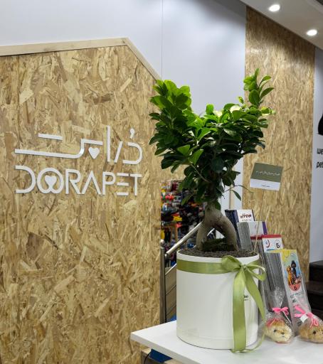 عکس دُرا پت