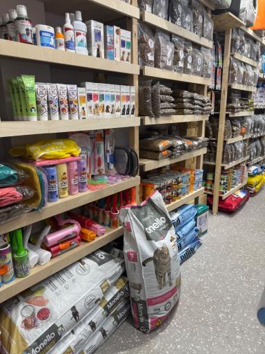 عکس دُرا پت