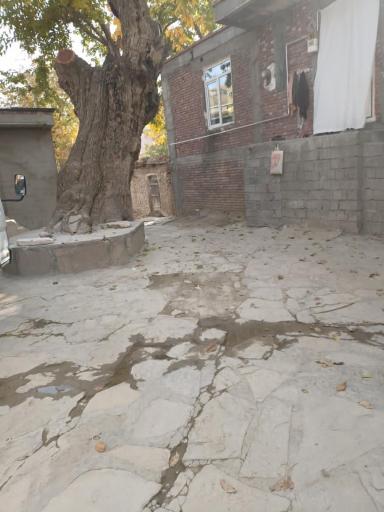 عکس پارسانیان