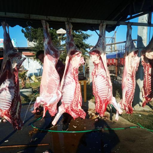 عکس قصابی و کبابی دده بالا