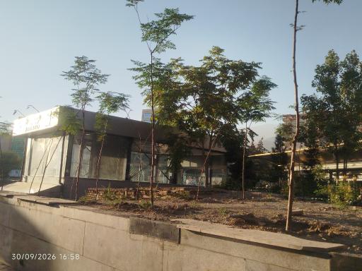 عکس نوبنیاد