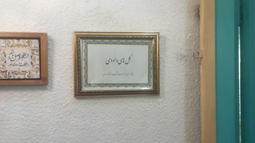 عکس نگارخانه گل های داوودی