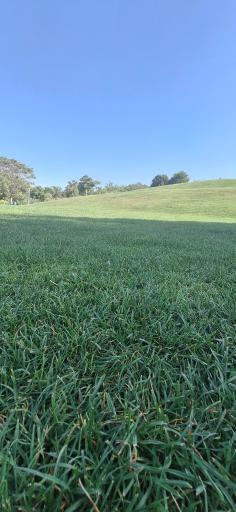 عکس پیست اسکی چمن صفه