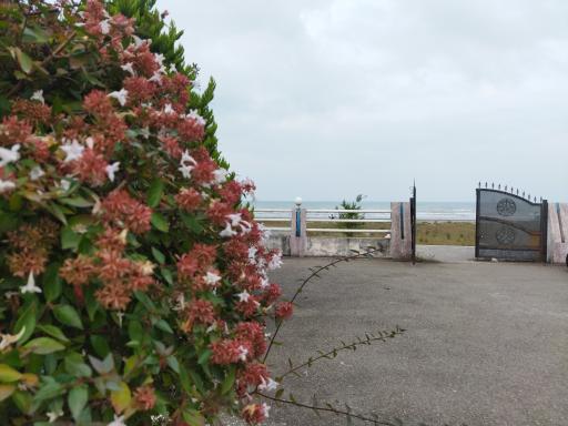 عکس مجتمع فرهنگی آموزشی امام خمینی (ره)