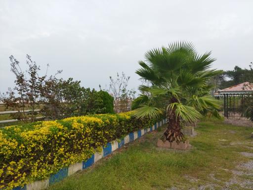 عکس مجتمع فرهنگی آموزشی امام خمینی (ره)