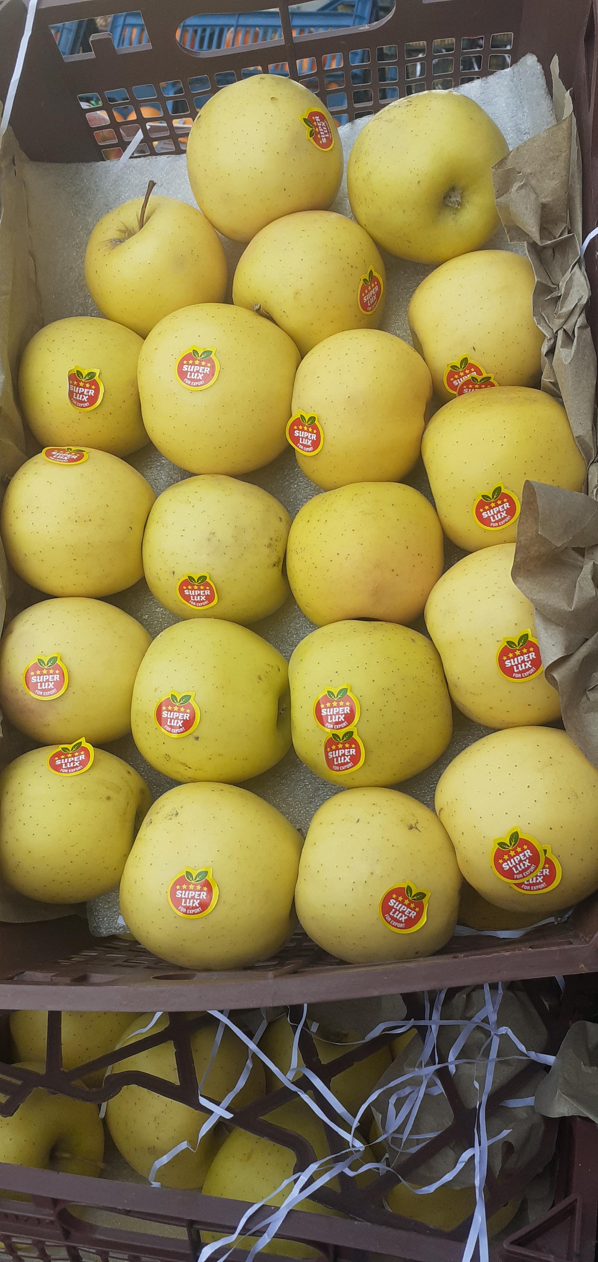 عکس میوه فروشی محمدزاده