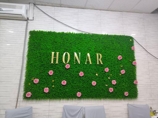 عکس غذای خانگی هنر 