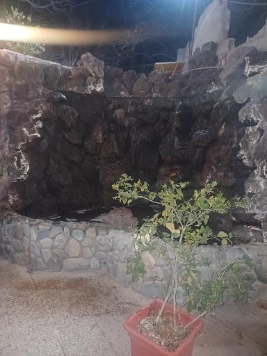 عکس باغ رستوران امیران