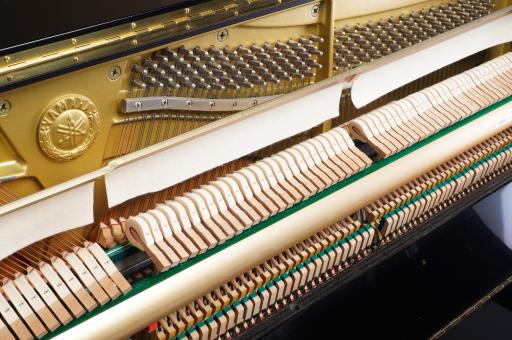 گالری پیانو کدانس