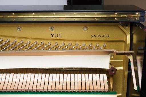 عکس گالری پیانو کدانس