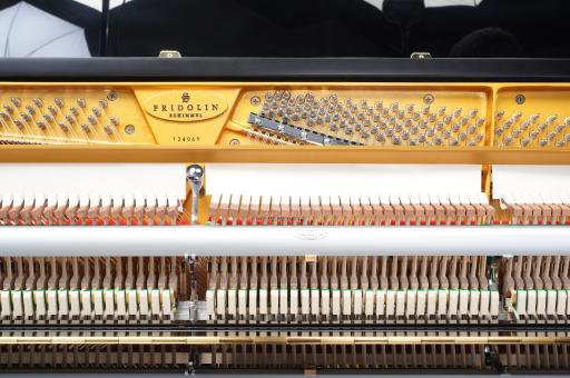 گالری پیانو کدانس