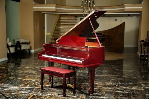 گالری پیانو کدانس