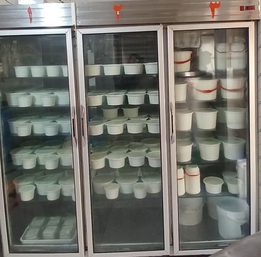 عکس لبنیات و بستنی شالیزار