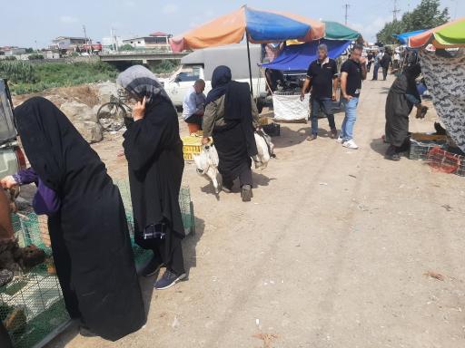 عکس جمعه بازار امیرکلا