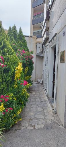 عکس آموزشگاه هنر های تجسمی اصلانی