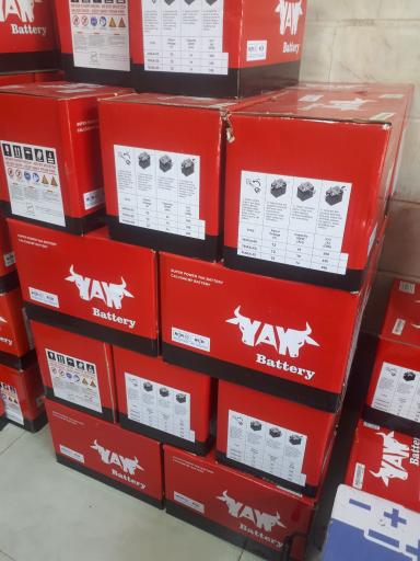 عکس دنیای باتری فلاح 