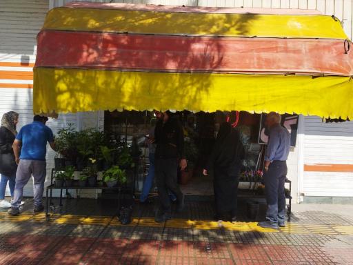 عکس گل فروشی ارغوان