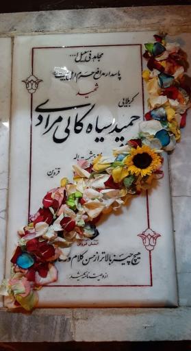 عکس مزار شهید حمید سیاهکالی مرادی