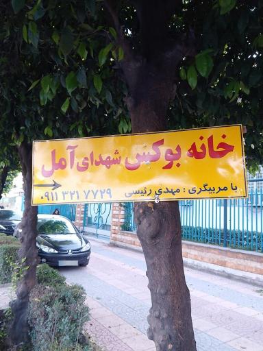 باشگاه بوکس آمل