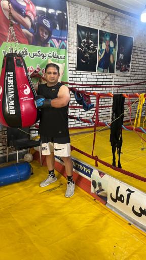 باشگاه بوکس آمل