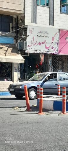 عکس گل صدرا 