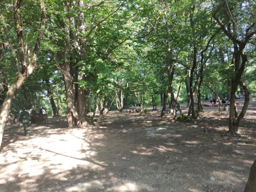 عکس تفرجگاه گلشن